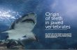 Origin of teeth in jawed vertebrates - the Fraser lab€¦ · saw-teeth in a unique arrangement strikingly similar to oral dentitions with a ‘many for one’ arrangement, but all