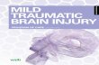 MILD TRAUMATIC - WSIB · The Workplace Safety and Insurance Board (WSIB) would like to ... Ontario Massage Therapist Association Ontario Physiotherapy Association ... tory college,