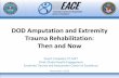 DOD Amputation and Extremity Trauma Rehabilitation: Then ... · DOD Amputation and Extremity Trauma Rehabilitation: Then and Now The view(s) expressed herein are those of the author(s)