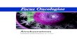 Focus Oncologiae · 2015-08-21 · Focus Oncologiae-sarjan julkaisut: Aivokasvaimet 2011. Eturauhasen syöpä 2010 Ruokatorven syöpä ja mahasyöpä 2009 Rintasyöpä 2008. Munuaisen