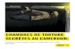CHAMBRES DE TORTURE SECRÈTES AU CAMEROUN · 6.2 autres caractÉristiques de la torture 31 6.2.1 moment, frÉquence et durÉe des actes de torture 31 6.2.2 actes de torture au cours