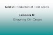 Unit D: Production of Field Crops...Unit D: Production of Field Crops Lesson 6: Growing Oil Crops . 2 . Terms • Legume • Oil crops • Linters • Boll • Cotton picker • Retting