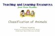 Classification of Animals - South Carolina Virtual Charter ...€¦ · Classification of Animals Scientists have divided the Animal Kingdom into two main groups: vertebrates (animals