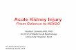 Acute Kidney Injury - Nephrologisches Seminar · 2019-05-07 · Acute Kidney Injury From Galenus to KDIGO Norbert Lameire,MD, PhD Em Prof of Medicine& Nephrology University Hospital,