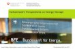 Switzerland‘s Perspectives on Energy Storage · storage potential, development of simulation tools, and establishing boundary conditions for the flexible deployment of heat storage