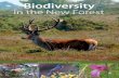 Biodiversity in the New Foresteprints.bournemouth.ac.uk/21250/1/NFpreface.pdf · Biological diversity in New Forest streams Terry Langford, John Jones, Samantha Broadmeadow, Patrick