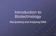 Introduction to Biotechnology - Tamalpais Union High ...€¦ · Introduction to Biotechnology Manipulating and Analyzing DNA. ... Genetic Engineering Example Insulin is made for