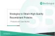 Strategies to Obtain High Quality Recombinant Proteins · Recombinant Recombinant technology Animal-free High protein yield Controlled batch-to-batch variations Gene synthesis Vector