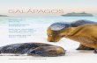 GALÁPAGOS - Lindblad Expeditions · 2019-08-02 · to experience its legendary landscapes and wildlife, but few actually explore it. The expeditions we offer, aboard the 48-guest