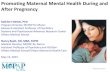 Kathleen Biebel, PhD Program Director, MCPAP for Moms ...piphma.org/docs/MaternalMentalHealth.pdf · I am going to call every day.” ... Absolute risk of birth defects when antidepressants