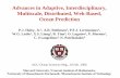 Advances in Adaptive, Interdisciplinary, Multiscale ...robinson.seas.harvard.edu/PAPERS/haley_etal_final.pdf · • Regional Domain (1km) run at Harvard in a 2-way nested configuration