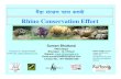 u}+8f ;+/If0f kxn sbdL Rhino Conservation Effort - Rhinoceros Conservation... · Population Population Trend of Rhino in Nepal 800 400 300 100 108 147 310 358 466 612 446 0 100 200