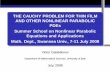 THE CAUCHY PROBLEM FOR THIN FILM AND ... - math.swansea.ac.uk · THE CAUCHY PROBLEM FOR THIN FILM AND OTHER NONLINEAR PARABOLIC PDEs Summer School on Nonlinear Parabolic Equations