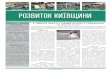 ШКОЛА У ЧАБАНАХ с.3 НОВІ ДОРОГИ БЛАГОУСТРІЙ …rozvytok-kiev.com.ua/images/gazeta11_1.pdf · ШКОЛА У ЧАБАНАХ с.3 НОВІ ДОРОГИ
