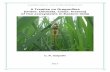 A Treatise on Dragonflies (Order: Odonata, Class: Insecta ... · started and the dragonflies have to devoured the Dipterans, Lepidopterans, Hymenopterans etc after the evolutions.