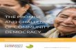 THE PROMISE AND CHALLENGE OF COMMUNITY DEMOCRACY...help people find common interests and begin to work together.” “You need to engage and build connections between communities