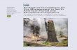 Ecological Foundations for Fire Management in North ... · Ecological Foundations for Fire Management in North American Forest and Shrubland Ecosystems J.E. Keeley, G.H. Aplet, N.L.