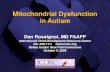 Mitochondrial Dysfunction in Autism · Mitochondrial Disease (MD) • Primary mitochondrial disease typically refers to genetic defects leading to mitochondria dysfunction (MtD) •