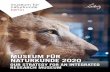 MUSEUM FÜR NATURKUNDE 2020...This is how we do things around here!« All members of the Museum team share our organizational culture. The Museum für Naturkunde thrives because we