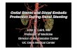 Ostial Stents and Distal Embolic Protection During Renal ... · BOSS-1 Study Purpose Evaluate deployment and support of BullsEye Ostial Stent System for renal ostial stenoses Design