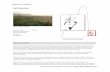 Salt Marshes€¦ · Appendix B: Habitats New Hampshire Wildlife Action Plan Appendix B Habitats-253 grass (Distichlis spicata), black grass (Juncus gerardii), short‐form smooth