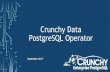 Crunchy Data PostgreSQL Operator · 2017-09-07 · PostgreSQL 9.5+ Container (crunchy-postgres) PostgreSQL Backup Container (crunchy-backup) PostgreSQL Upgrade Container (crunchy-upgrade)