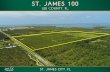 ST. JAMES 100 · . 2. Castle Rd. d.. ST. JAMES 100. 4141 Stringfellow Rd. St. James City, FL 33956 99± acres. AG-2 (Agricultural) Coastal Rural. Electric and ...