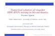 Numerical solution of singular ODE-BVPs arising in bio ... · ODE-BVPs arising in bio-mechanics Ivonne Sgura Math Department - University of Salento, Lecce, Italy joint work with