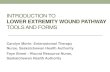 Introduction to Lower Extremity Wound Tools and …...Introduction to Lower Extremity Wound Tools and Forms Author Saskatchewan Lower Extremity Wound Pathway Keywords diabetes, diabetic,