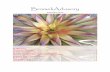 Photo from ALL.pdf · or more of the following categories [innovation in creating bromeliad hybrids, success in cultivation of bromeliad hybrids, promotion and distribution of bromeliad