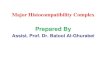 Prepared Bycodental.uobaghdad.edu.iq/.../2020/04/Major-Histocompatibility-Com… · MHC - The Major Histocompatibility Complex In all vertebrates there is a genetic region that has