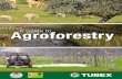 Agroforestry - TUBEX · 2015-07-29 · establish new agroforestry areas, and farmers’ direct payments from the Common Agricultural Policy (CAP) are usually protected. Importantly,