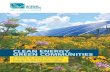 CLEAN ENERGY, GREEN COMMUNITIES - Scenic Hudson€¦ · Clean Energy, Green Communities: A Guide to Siting Renewable Energy in the Hudson Valley Scenic Hudson, Inc., Poughkeepsie,