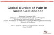 Global Burden of Pain in Sickle Cell Disease · Thalassemia-0) 2% Moderate-Severe Moderately Microctyic 58-72 7-10gm/dl. Hemoglobin Electrophoresis Examples SCD and SCTrait HGBE HgbS