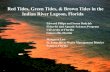 Red Tides, Green Tides, & Brown Tides in the Indian River ...€¦ · Biomass* >0.2* Obs. Pyrodinium bahamense 6.0 116 535 Akashiwo sanguinea 7.3 44 615 Peridinium quinquecorne 1.7