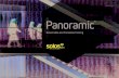 Panoramic - Solos Glass · Panoramic™ - Glass Balustrade and Frameless Fencing Solutions What is Panoramic™? Panoramic™ is a range of Grade A safety glass solutions suitable