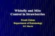 Whitefly and Mite Control in Strawberries · 2016-10-20 · August survey - In all but 1 case fields were: • In vicinity of a second year planting or a summer, 2001 planting November
