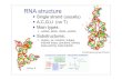 RNA structure - Duke UniversityRNA structural hierarchy Primary structure - covalent chemical struct. Nucleotide base sequence Secondary structure - “local” chain folding Base-pairing