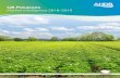 GB Potatoes - Microsoft · The potatoes Market Specialists team, headed up by senior analyst Sara Maslowski, provides potato expertise in the MI ... During 2015/16 and half of the