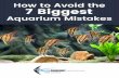 Contents · How To Avoid The 7 Biggest Aquarium Mistakes Algae and Green Water As you’ve probably guessed, green water is due to freefloating algae growth. The - causes and solutions