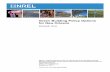 Green Building Policy Options for New Orleans€¦ · Green Building Policy Options for New Orleans Elizabeth Doris. Technical Report NREL ... Reference herein to any specific commercial