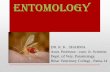 ENTOMOLOGY - basu.org.in · ENTOMOLOGY DR. R. K . SHARMA Asstt. Professor –cum- Jr. Scientist. Deptt. of Vety. Parasitology. Bihar Veterinary College , Patna-14. ENTOMOLOGY Entomology