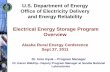U.S. Department of Energy Office of Electricity Delivery ......Office of Electricity Delivery and Energy Reliability Electrical Energy Storage Program Overview ... energy storage in