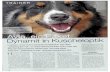 Ayla.partnerhund.01.2009 - Hundezentrum Löserund konsequenter Umgang vermltteln Ayla Sicherheit. 0. Ernährung umstellen. I O. Aylas Talente herausfinden und fördern, wie z.B. Intel-