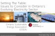 Setting The Table: Issues to Consider in Ontario’s ...ontario-sea.org/resources/Documents/OSEA -Setting the Table -Issues to Consider...Shifting Foundations of Electricity Sector