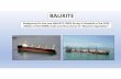Power Point - Bauxite Fines · 2020-03-03 · Power Point - Bauxite Fines Author: davies Created Date: 8/22/2019 3:36:30 PM ...