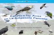 Celebra las Aves en La Amazonأ­a Peruana Celebra las Aves en La Amazonأ­a Peruana procura co-crear proyectos