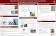 An Exploration of Computer Vision Techniques for Bird Species Classificationcs229.stanford.edu/proj2017/final-posters/5124475.pdf · 2018-01-04 · An Exploration of Computer Vision