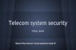 Telecom system security - University of Haifaorrd/CompSecSeminar/2014/... · Phone Phreaking - Signaling Summary-Later, the same kind of attacks was used to discover and abuse wiretapping