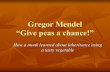 Gregor Mendel “Give peas a chance!”...Gregor Mendel Born in 1822. Gregor Mendel was a monk who taught high school and worked in the monastery gardens. In fact, he loved plants